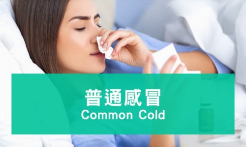 乳腺肿瘤能吃鸡蛋吗-乳腺肿瘤病人可以吃鸡蛋吗网- 乳腺肿瘤病人可以吃鸡蛋吗早餐知识,分享乳腺肿瘤可以吃海鲜吗