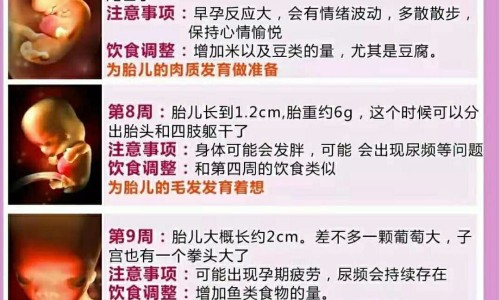 乳腺肿瘤病人可以吃鸡蛋吗网- 乳腺肿瘤病人可以吃鸡蛋吗早餐知识,分享乳腺肿瘤可以吃海鲜吗