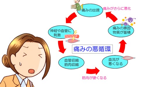 乳腺肿瘤病人可以吃鸡蛋吗网- 乳腺肿瘤病人可以吃鸡蛋吗早餐知识,分享乳腺肿瘤可以吃海鲜吗